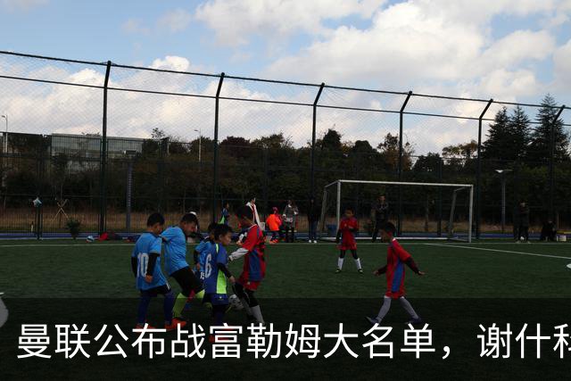 曼联公布战富勒姆大名单，谢什科恐伤缺！巴莱巴首次入选随队出征